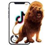 Harga Gitf Singa tiktok