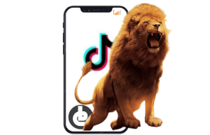 Harga Gitf Singa tiktok